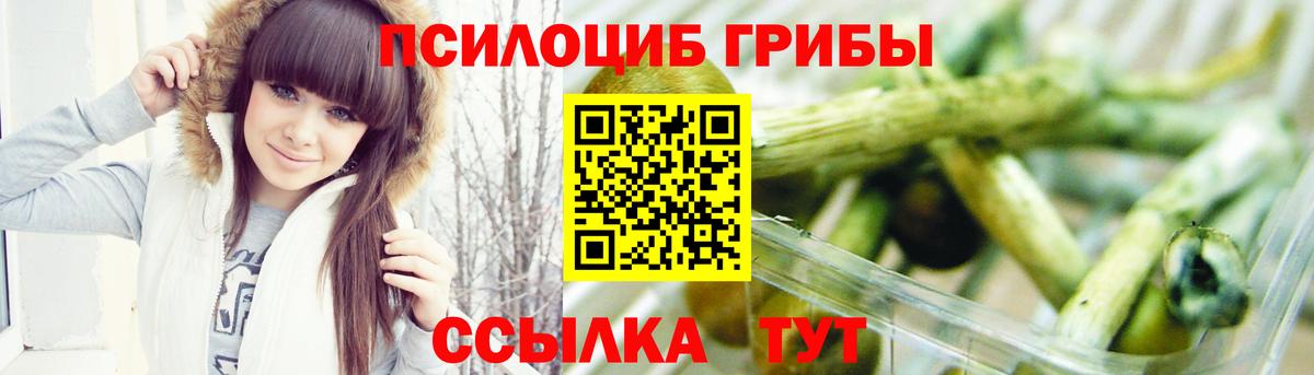 Псилоцибиновые грибы Cubensis  Псилоцибиновые грибы мухоморы  купить наркотики сайты  Вход с VPN  Дубна 